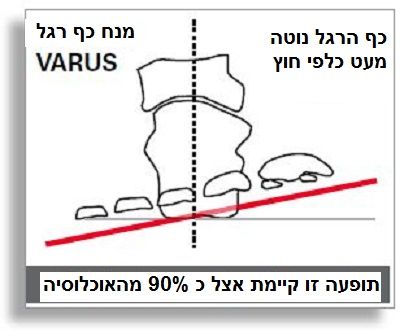 SPECIALIZED Body Geometry